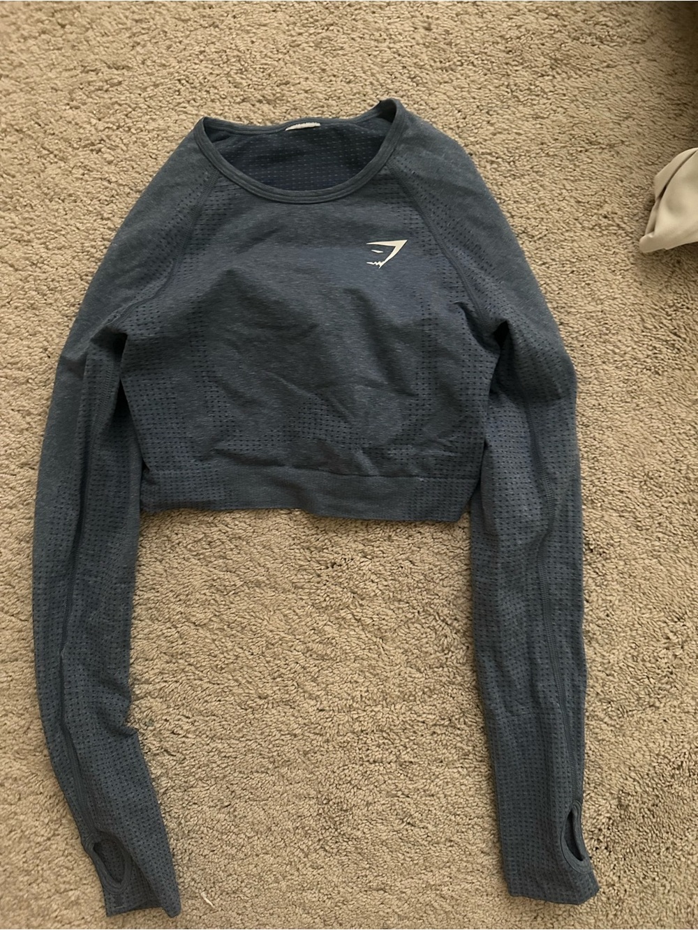 Gymshark Women's Dark Charcoal Seamless Long Sleeve Crop Top